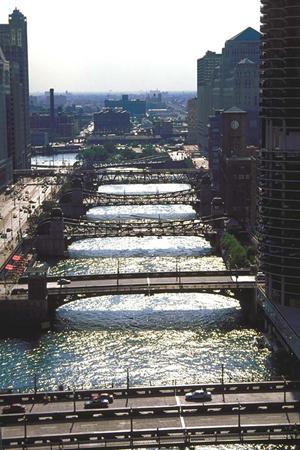 松山市でペット可な駅近物件を探すなら！便利な不動産サイトを徹底解説