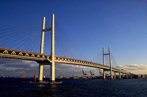 山口市で理想の建売住宅を見つけるための完全ガイド｜選び方と購入のポイント