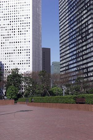 銀座の隠れ家で味わうこだわり食材の和食