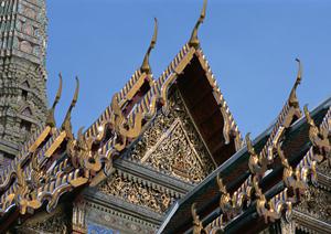 購入から買取まで幅広いサービスを行っています