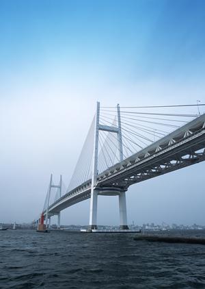 天理市の物件探しはこの会社におまかせ